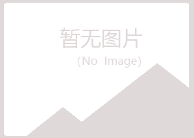 龙山区惜霜水泥有限公司